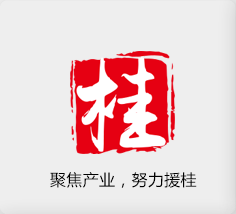 聚焦產(chǎn)業(yè)，努力援桂